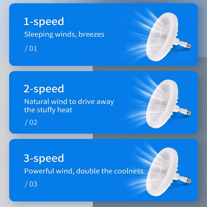 2 In 1 Ceiling Fan Lamps 3 Spe – Ceiling Fan Mount recenzja i cena